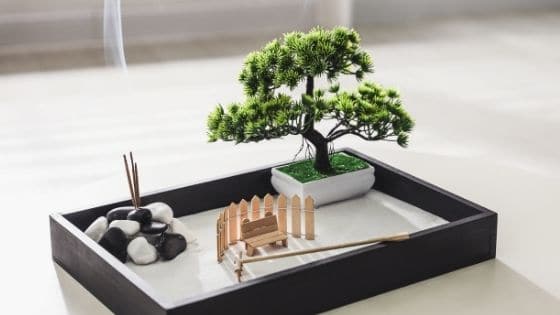 jardin zen miniature